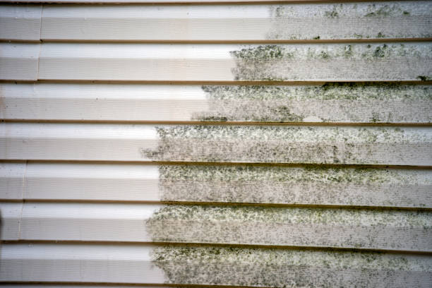 Best Fiber Cement Siding Installation  in Vass, NC